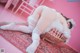 A woman in a white lingerie laying on a red rug.